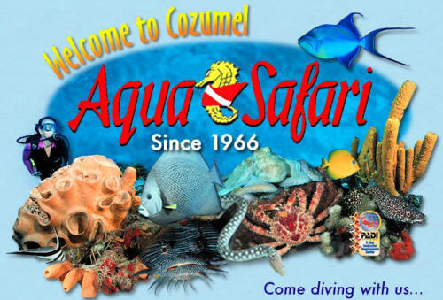 Aqua Safari