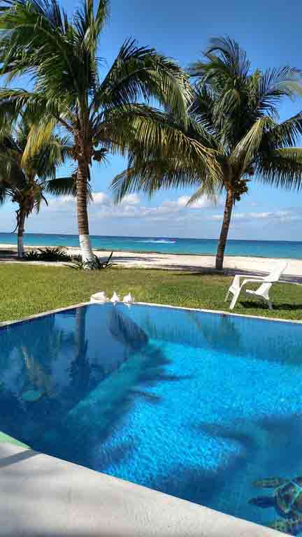 Infinity edge pool at La Ballena in Cozumel